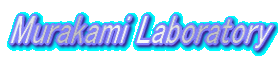 �������e