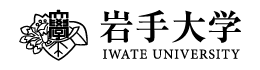 岩手大学