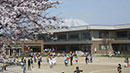 岩手大学教育学部附属小学校
