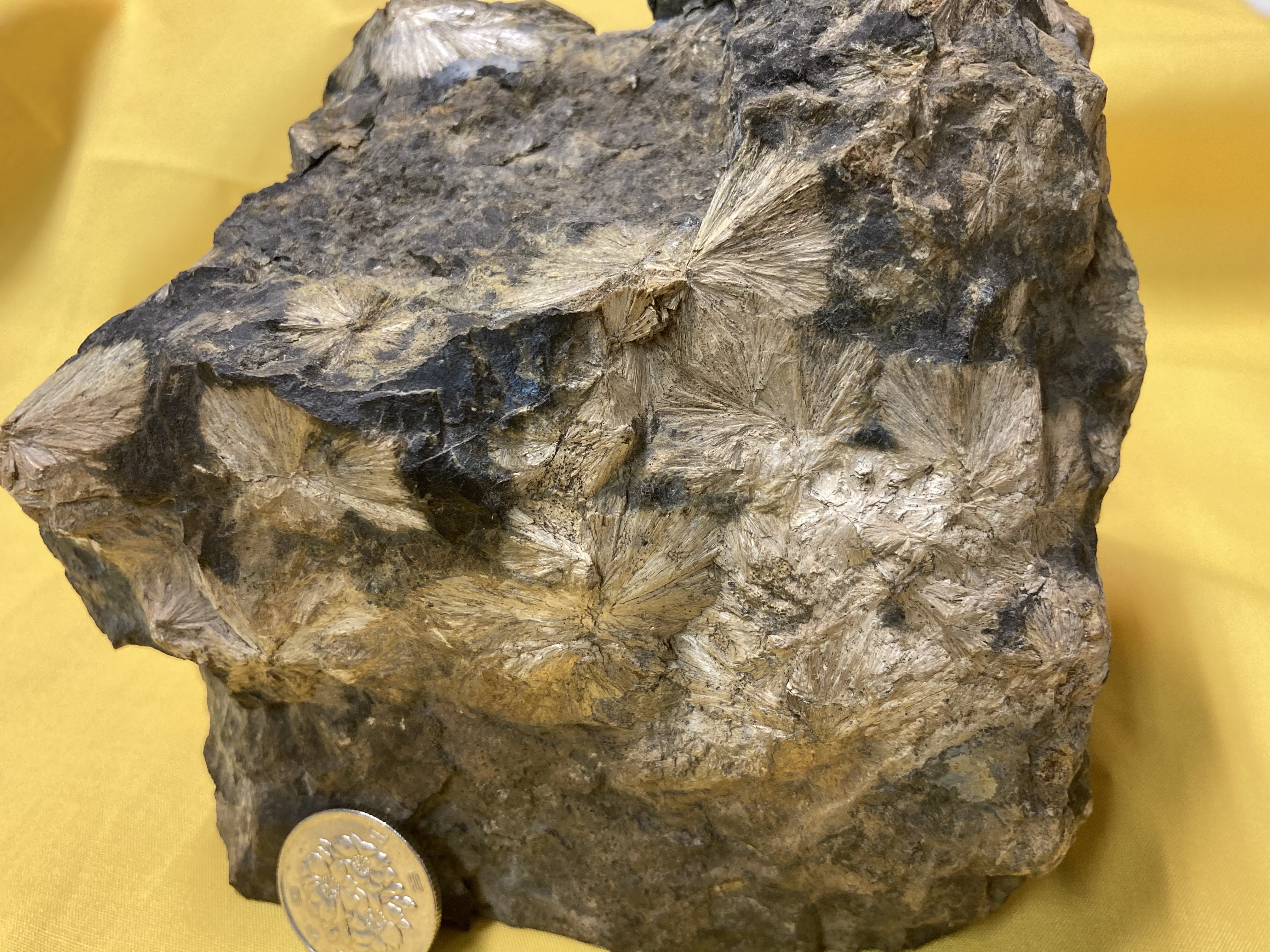 Kikuju Stone