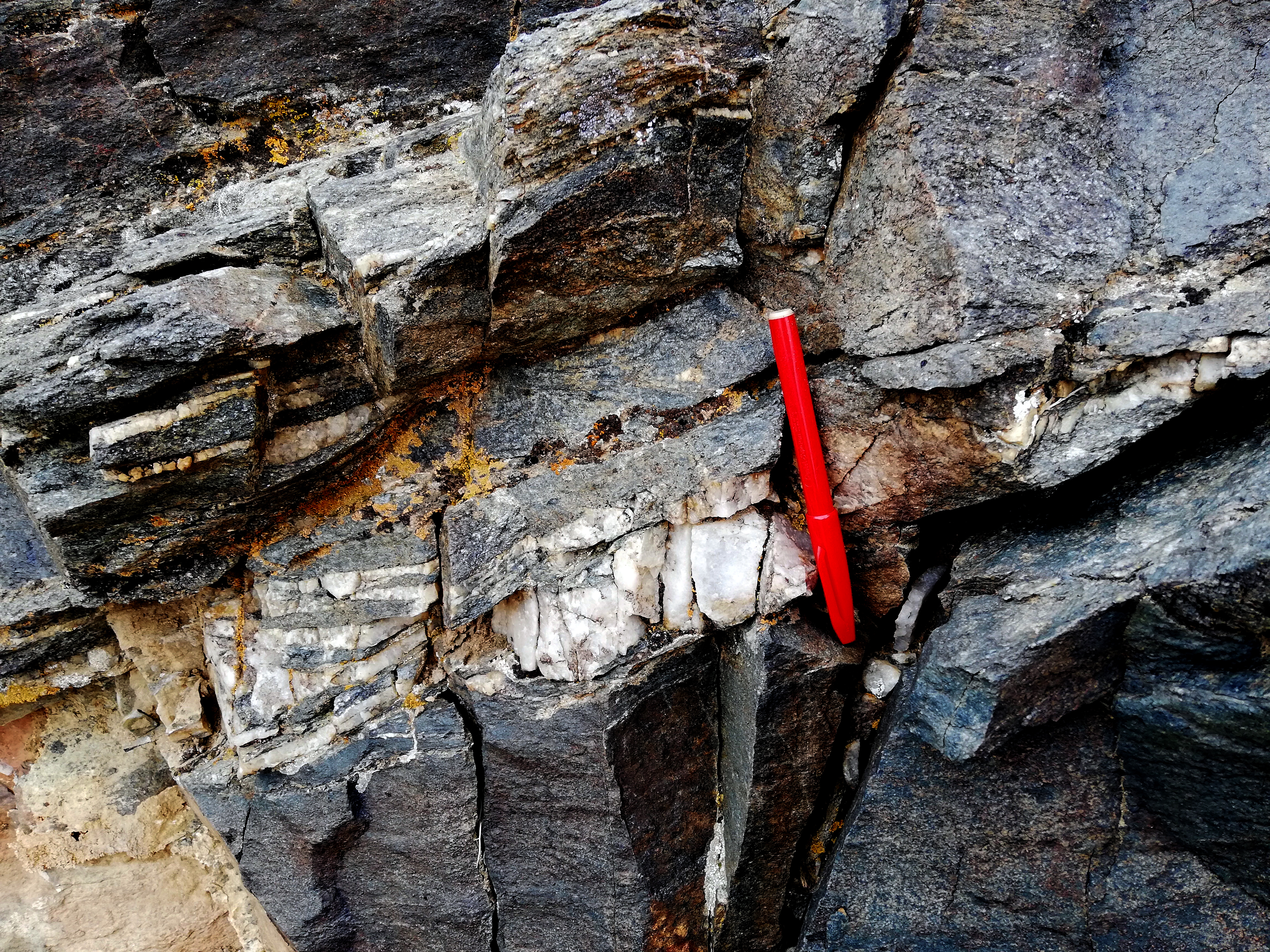 Quartz Vein In Zavkhan Eclogite